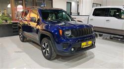 جيب رينيجيد